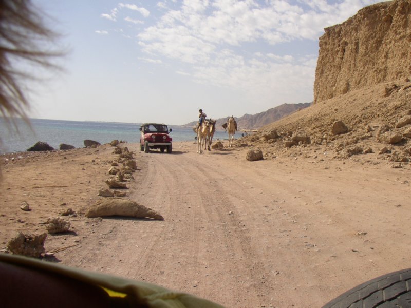 dahab4.jpg